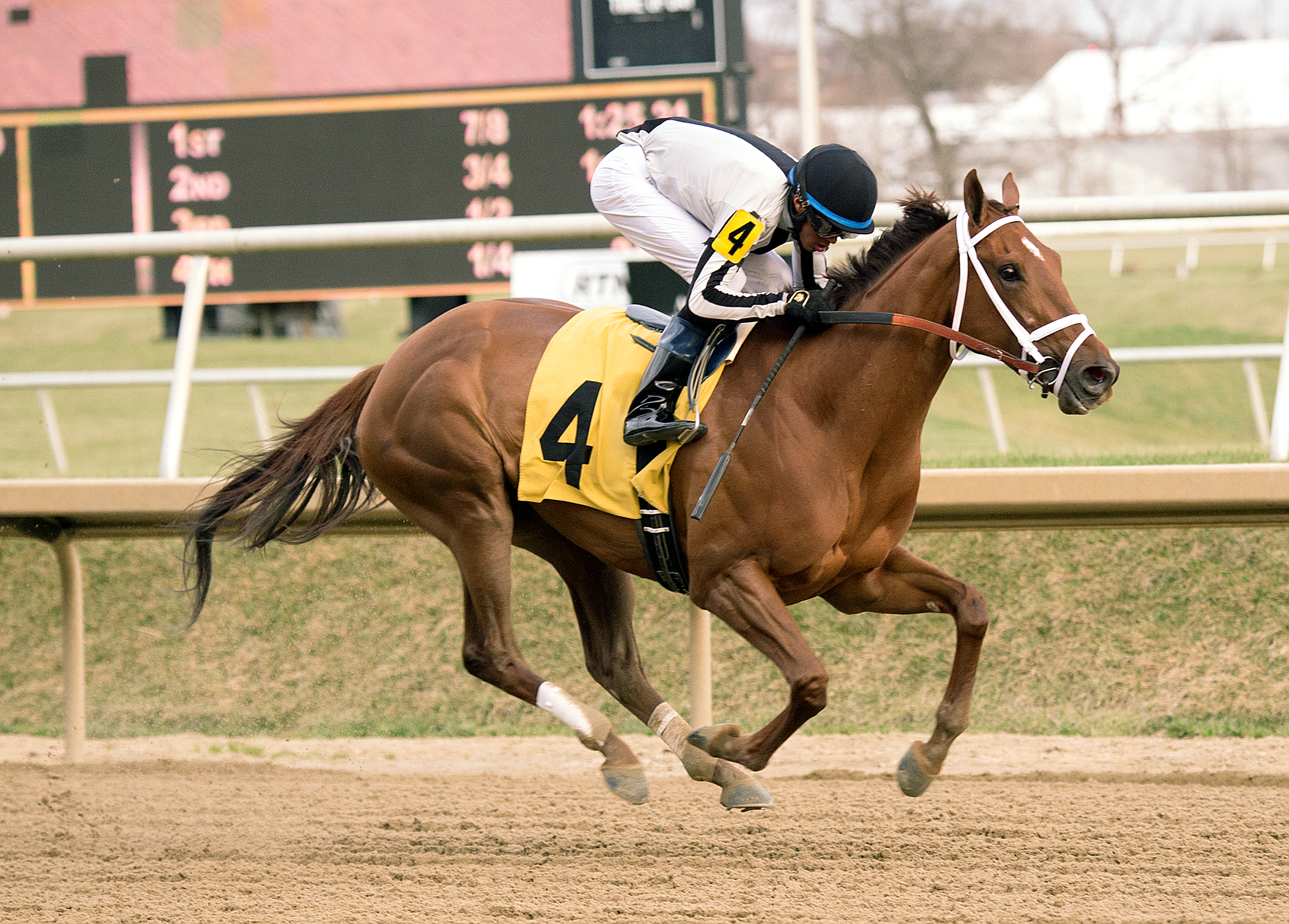 Sophia's Song wins the Caesar's Wish