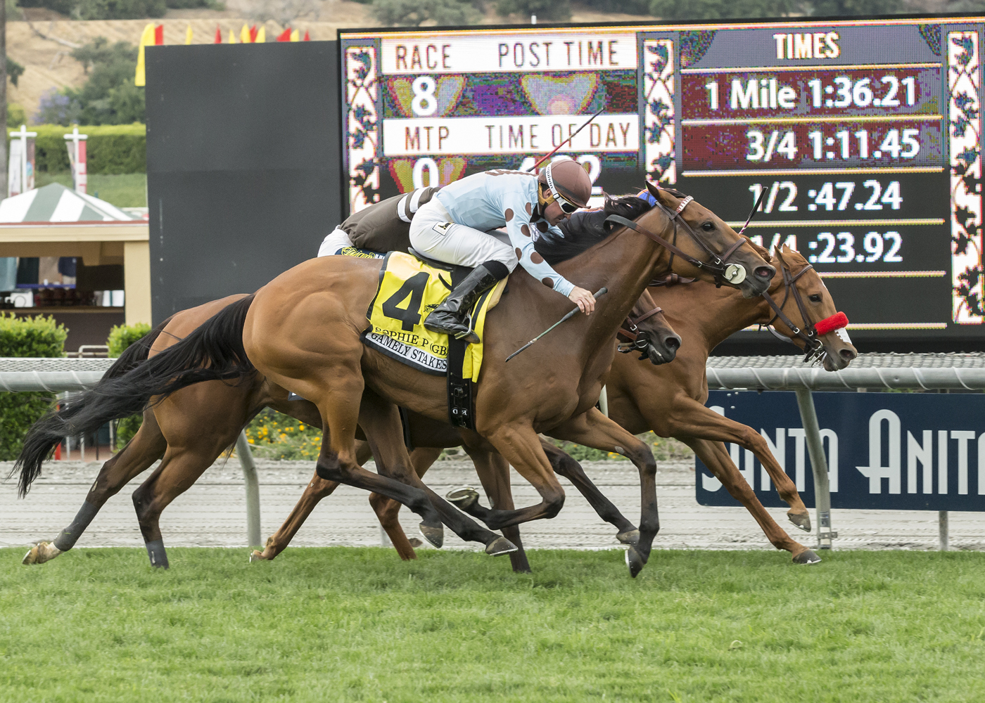 Sophie P (No. 4) in the 2018 Gamely Stakes