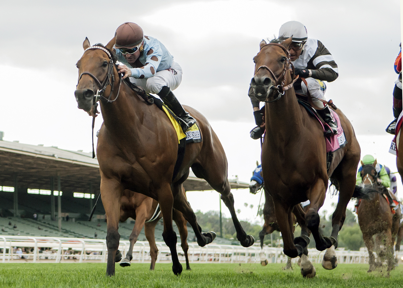 Sophie P wins the 2018 Gamely Stakes
