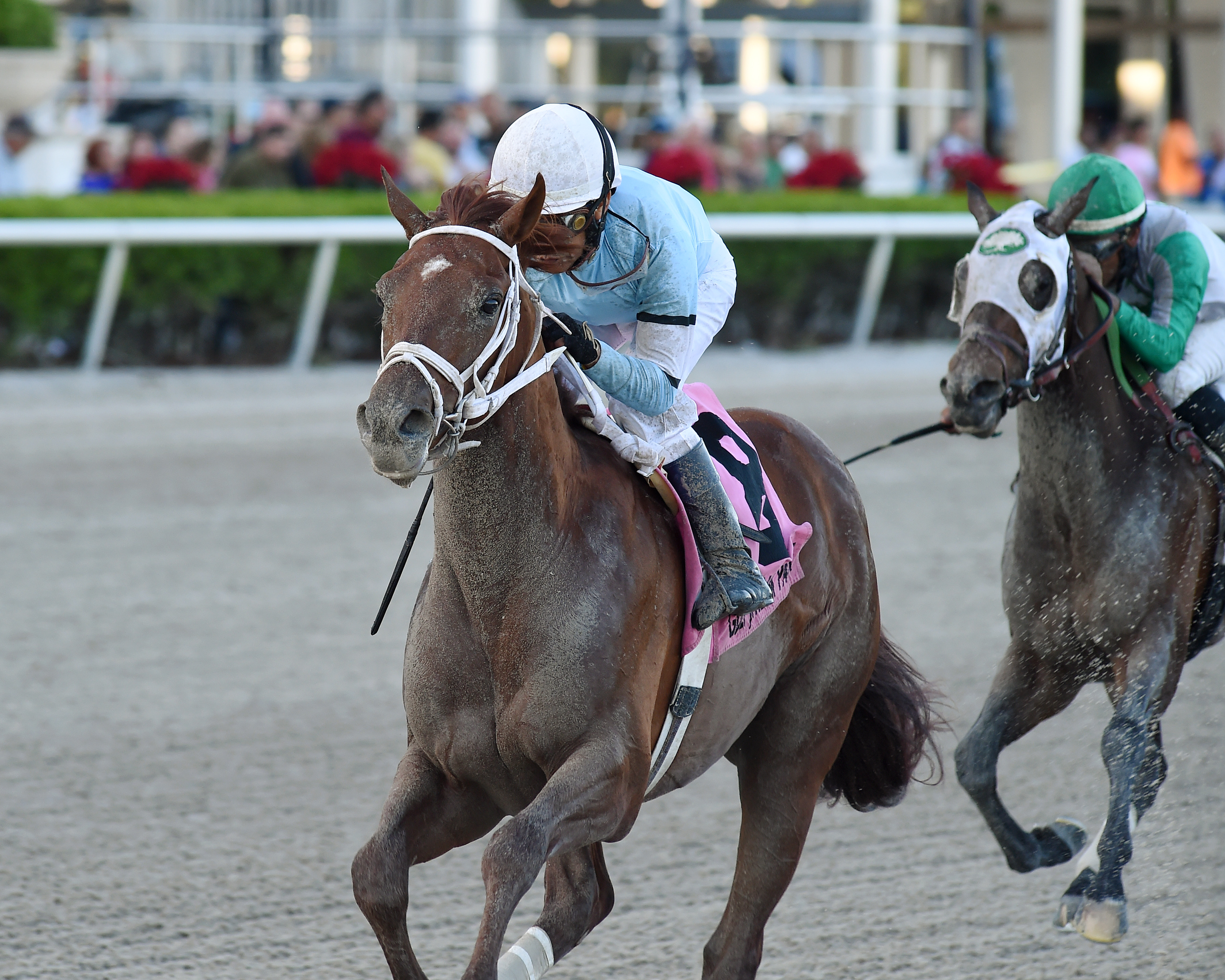 Soros wins the 2019 Smooth Air Stakes