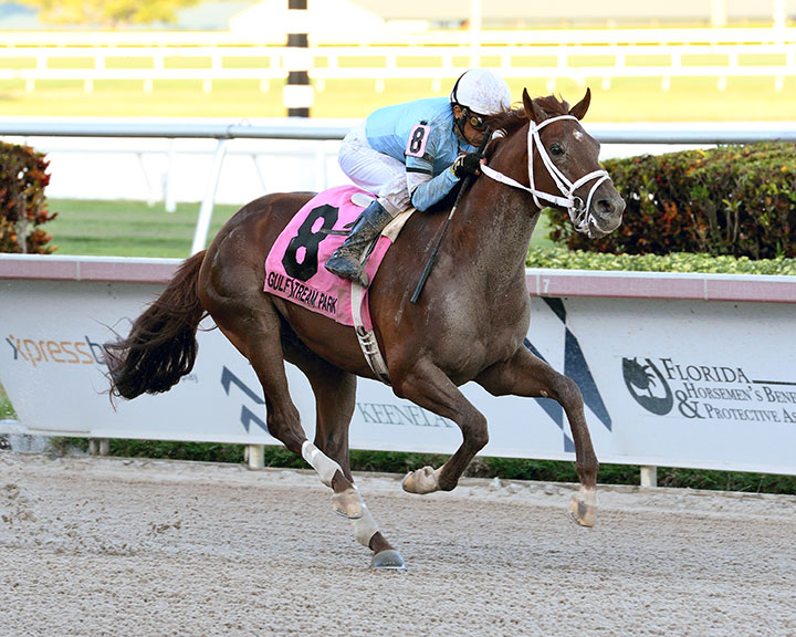 Soros wins the Smooth Air Stakes at Gulfstream Park
