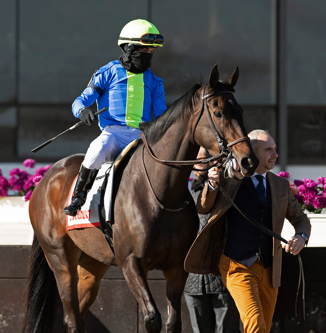 Sorrentina Lemon at Aqueduct Racetrack in December 2019