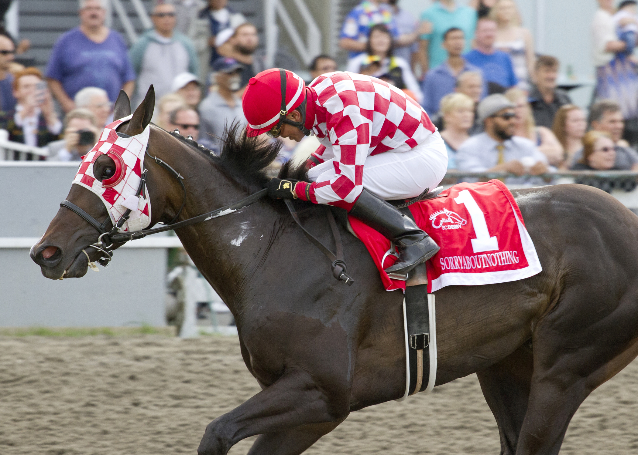 Sorryaboutnothing wins the British Columbia Derby