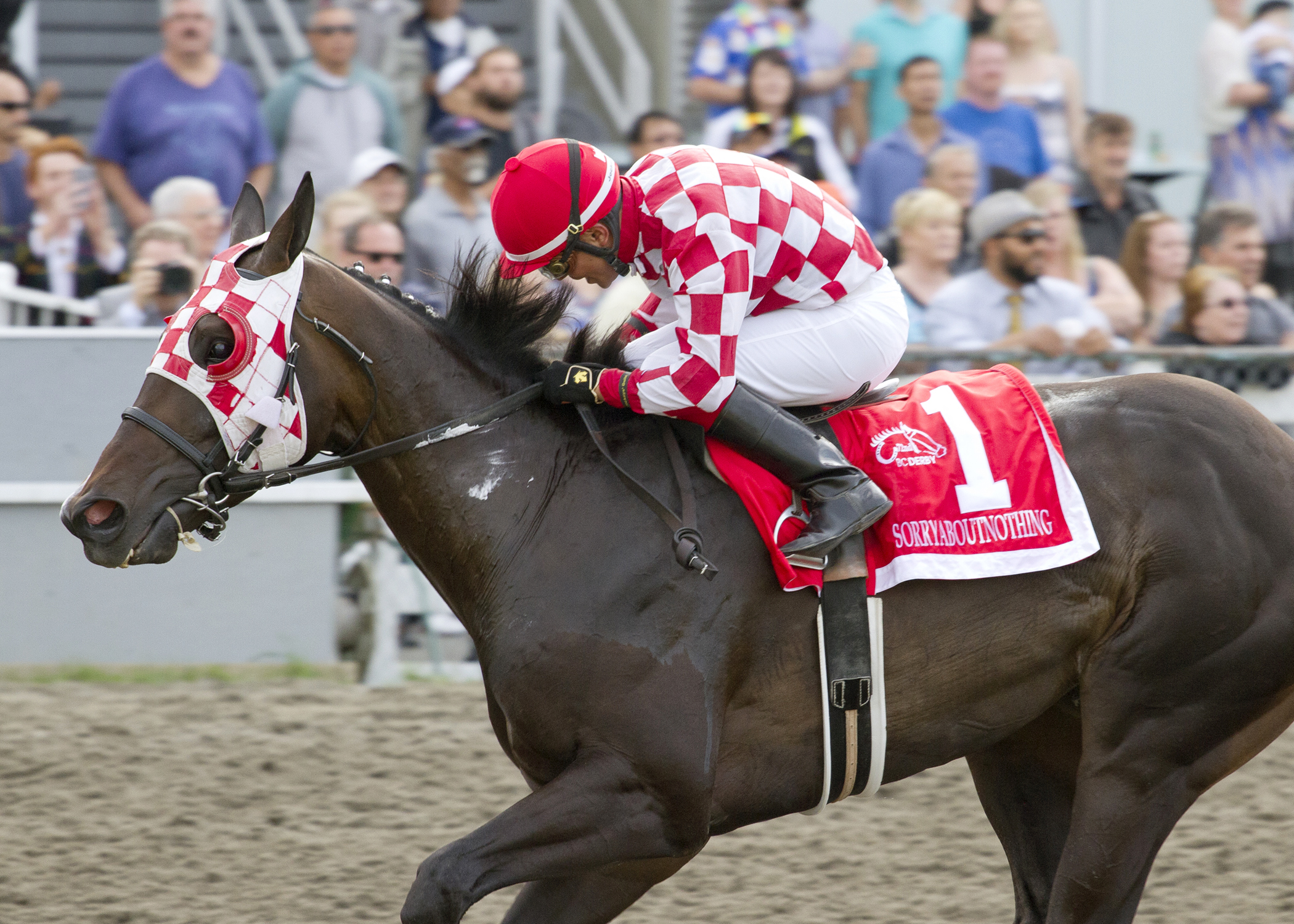 Sorryaboutnothing wins the 2016 British Columbia Derby