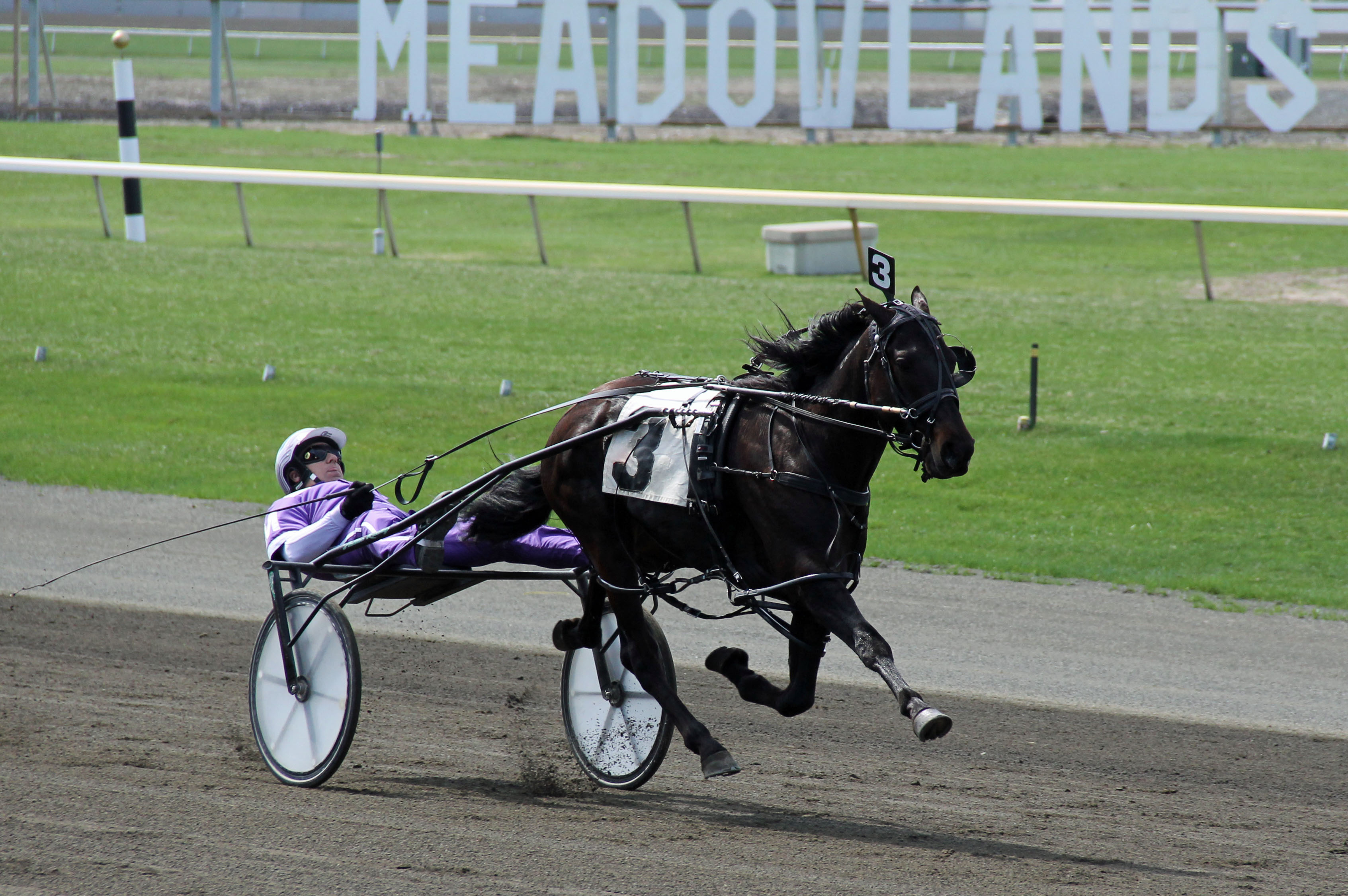 Soto_Harness