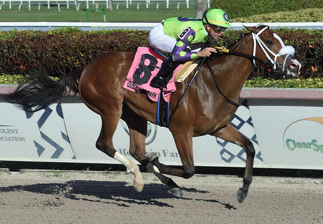 Sound Machine wins the 2020 Glitter Woman Stakes at Gulfstream Park