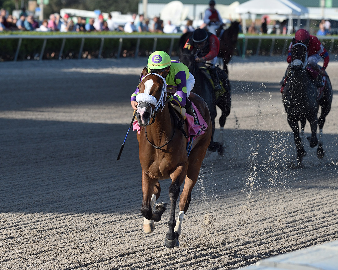 Sound Machine wins the 2020 Glitter Woman Stakes at Gulfstream Park