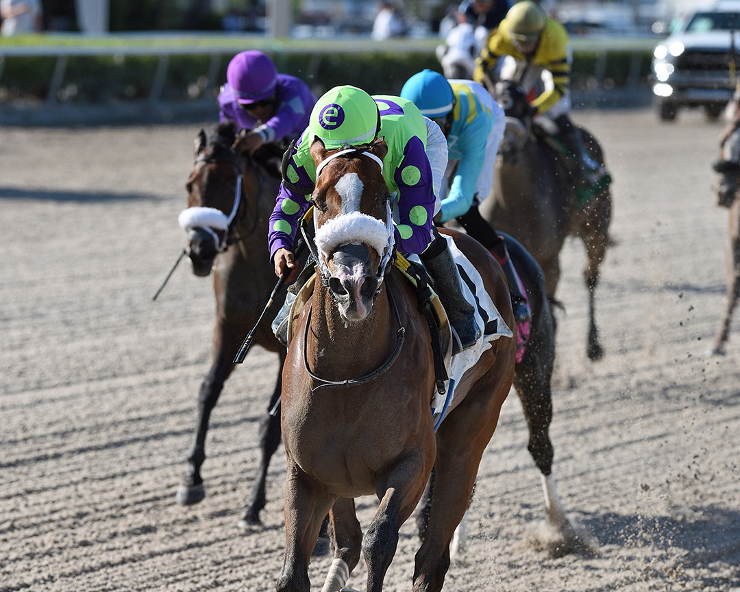 Sound Machine wins the 2021 Musical Romance Stakes at Gulfstream Park