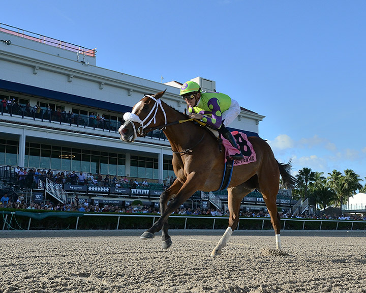 Sound Machine wins the Glitter Woman Stakes at Gulfstream Park