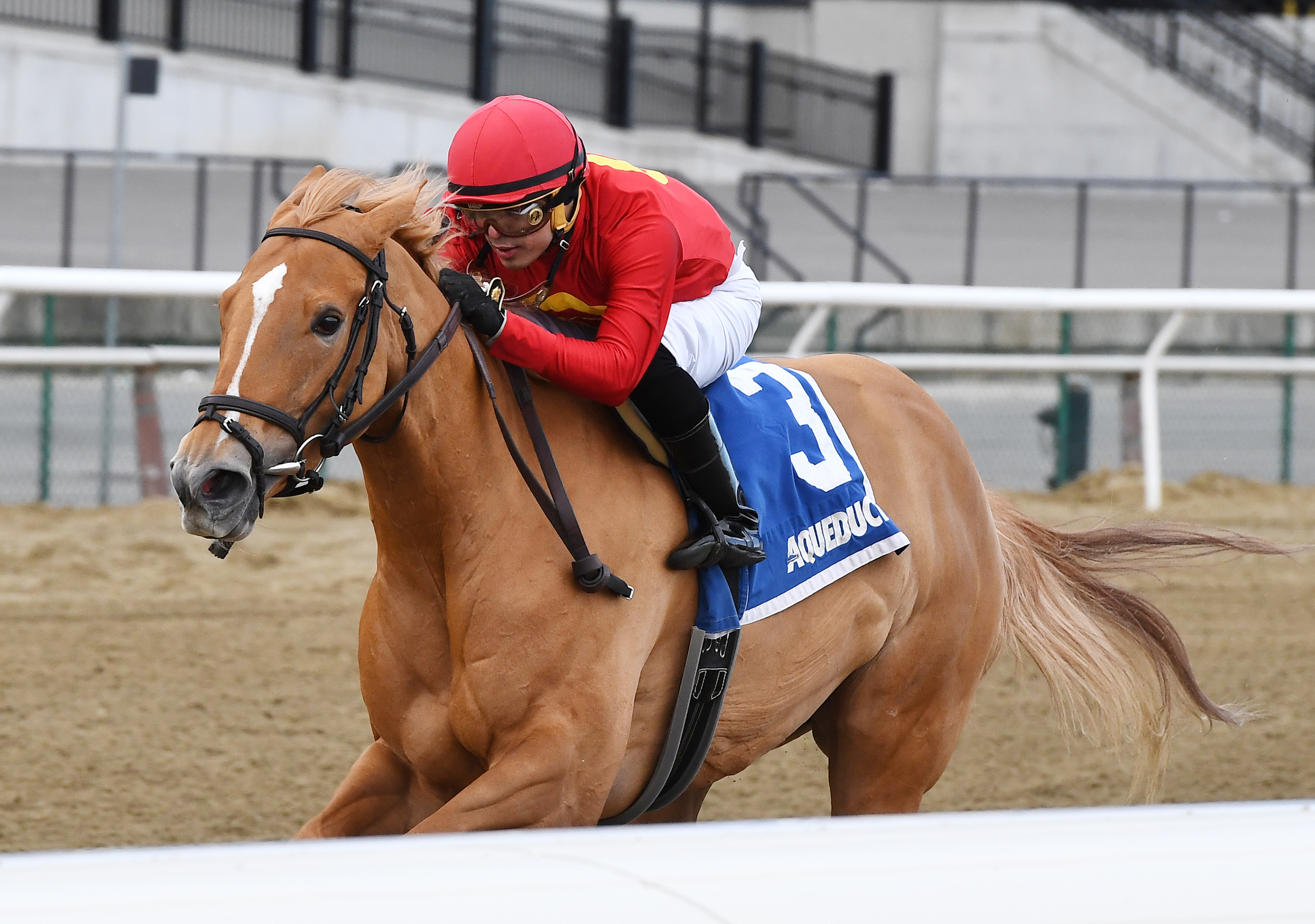 Sounds Delicious wins the 2018 Correction Stakes