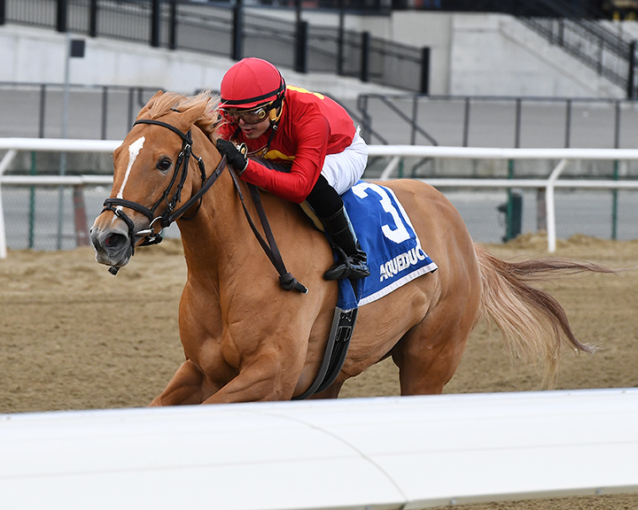 Sounds Delicious wins the 2018 Correction Stakes