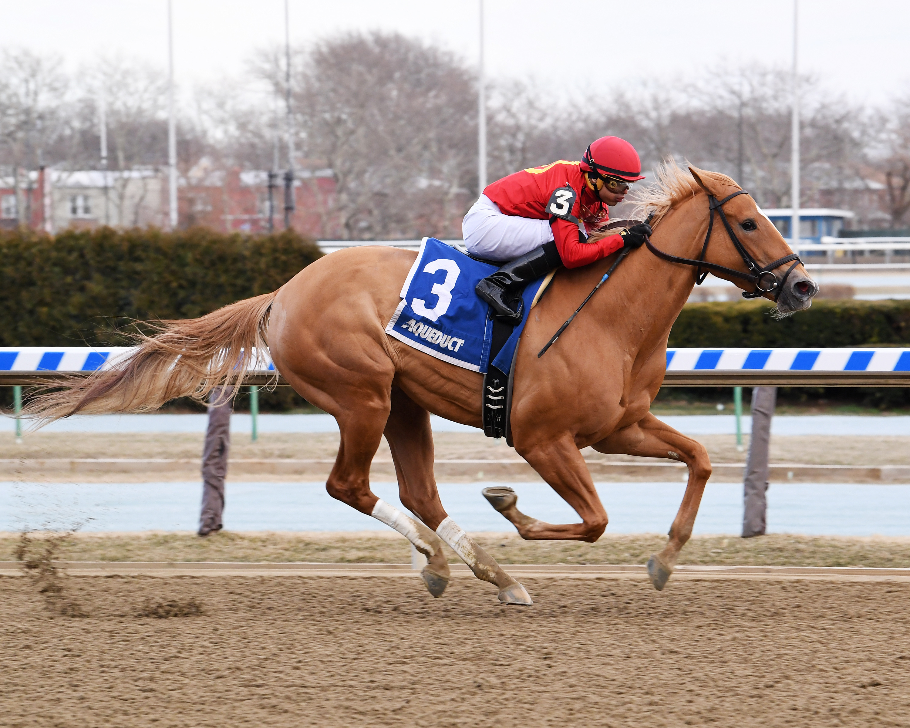 Sounds Delicious wins the 2018 Correction Stakes