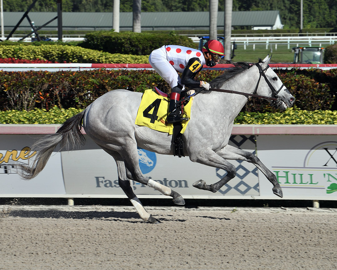 Soup and Sandwich wins a Jan. 28 maiden race at Gulfstream Park
