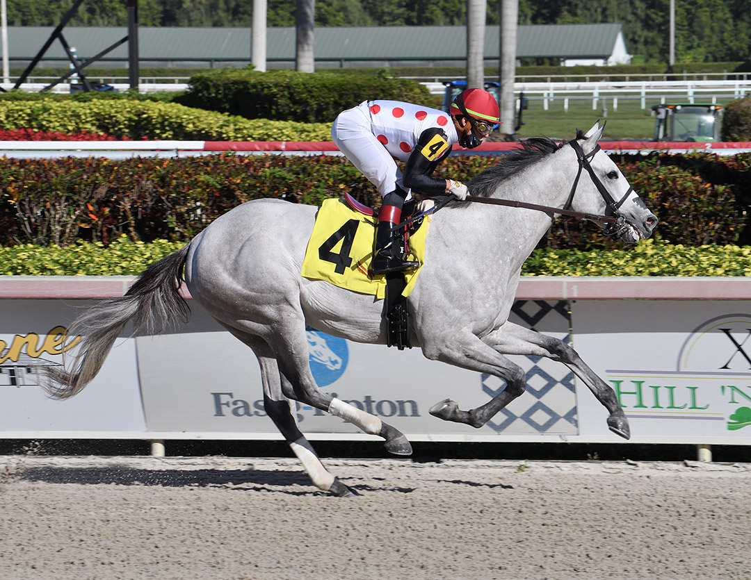 Soup and Sandwich wins a Jan. 28 maiden race at Gulfstream Park