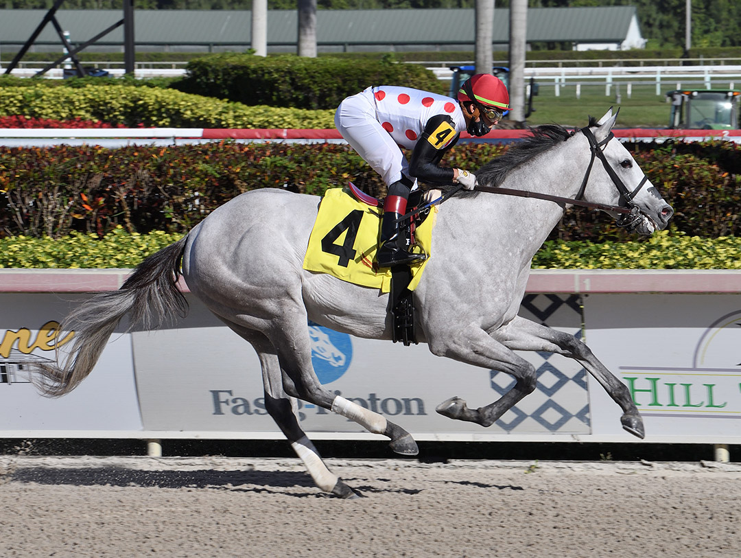 Soup and Sandwich wins a January 2020 maiden race at Gulfstream Park