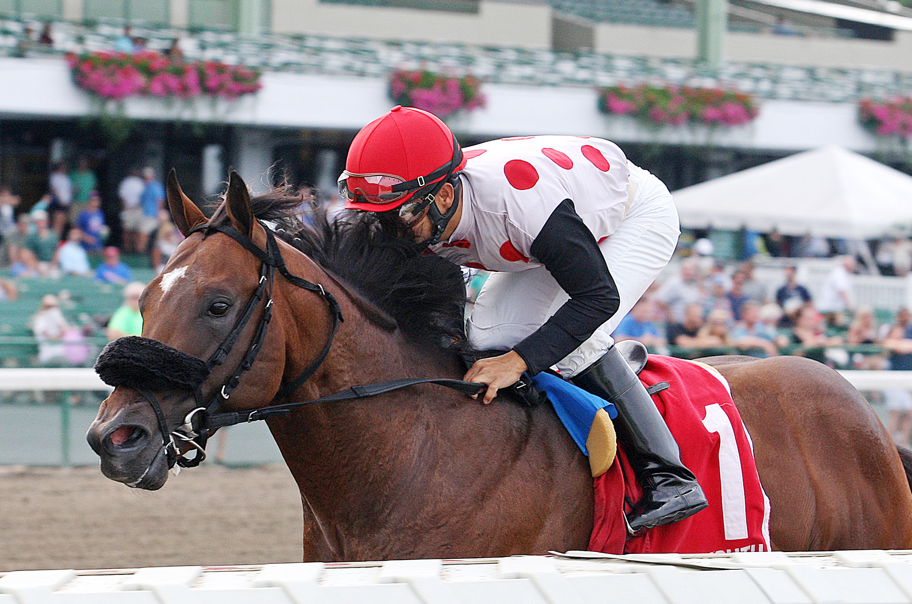 Souper Colossal wins the Tyro Stakes