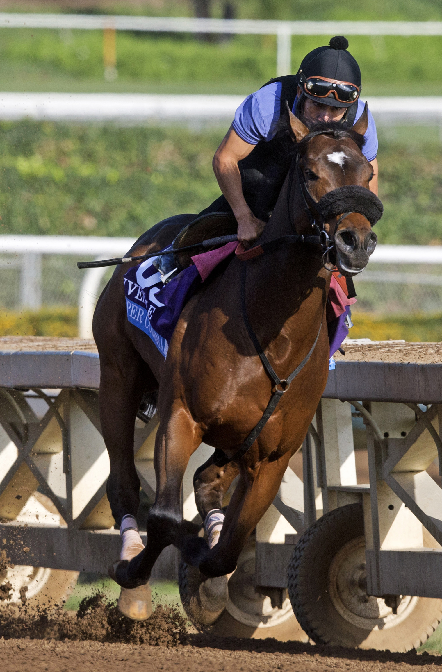 Souper Colossal at Santa Anita on Oct. 27