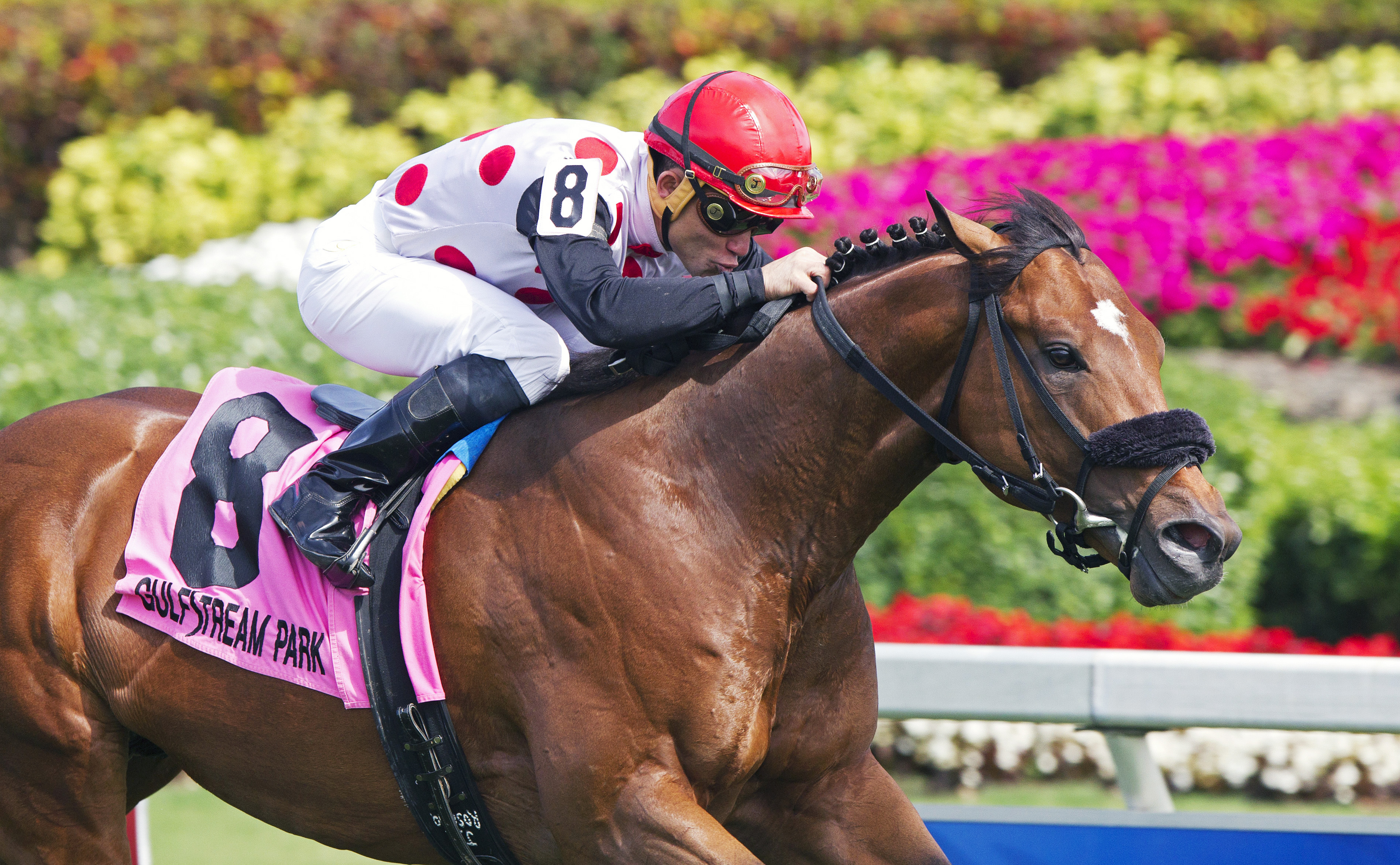 Souper Colossal wins the Texas Glitter Stakes
