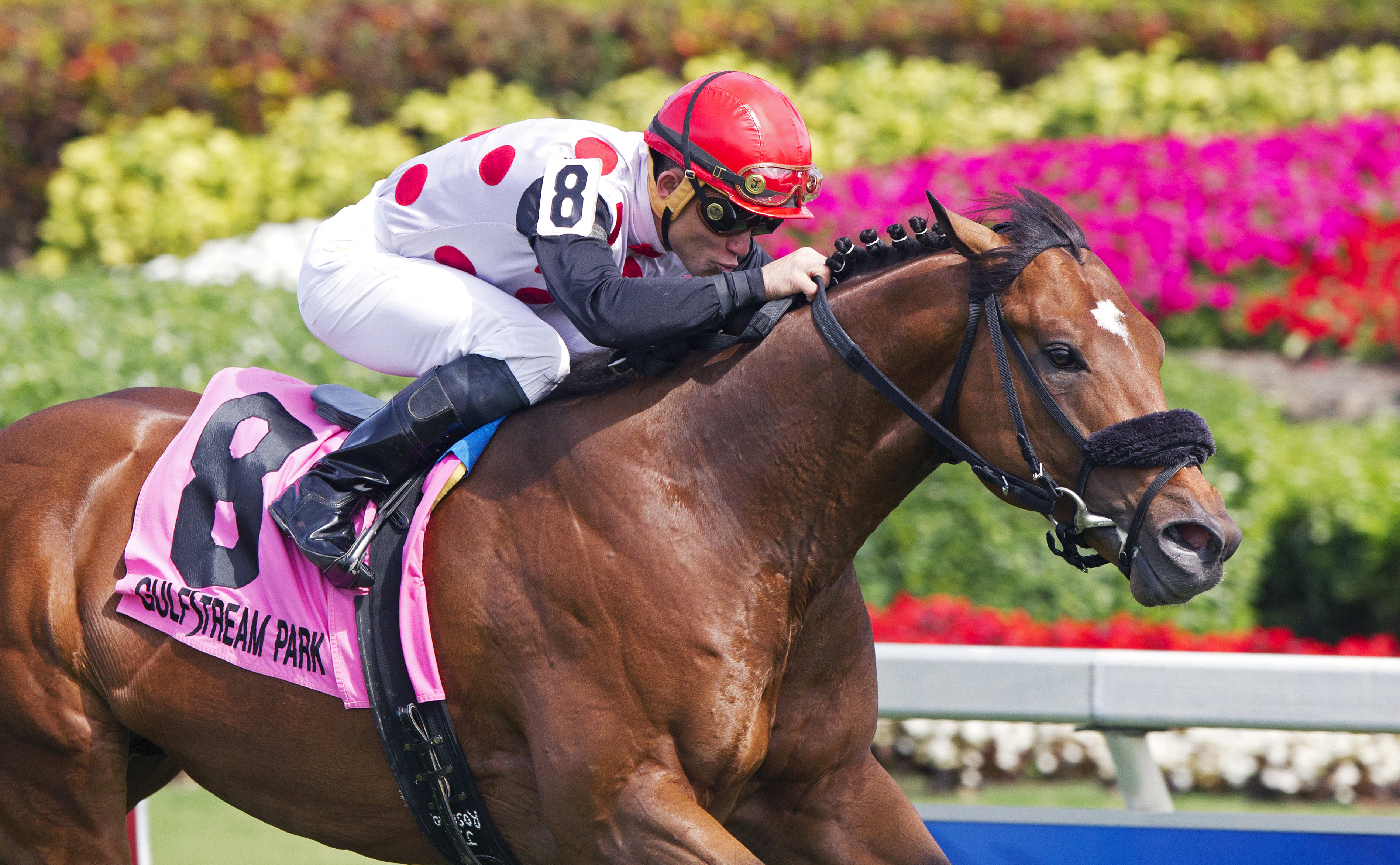 Souper Colossal wins the Texas Glitter Stakes