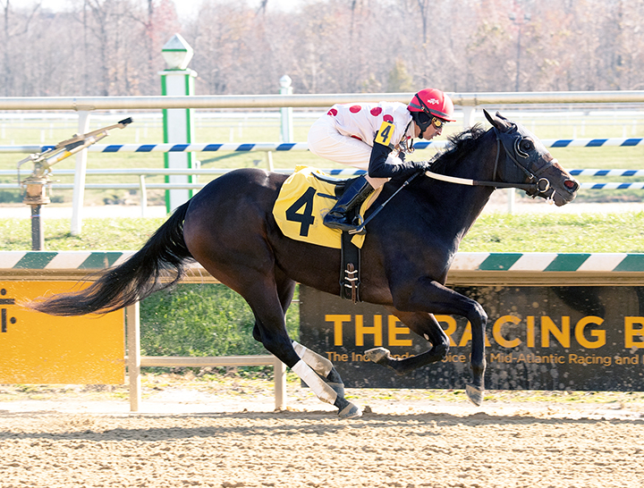 Souper Escape wins a Nov. 17 allowance