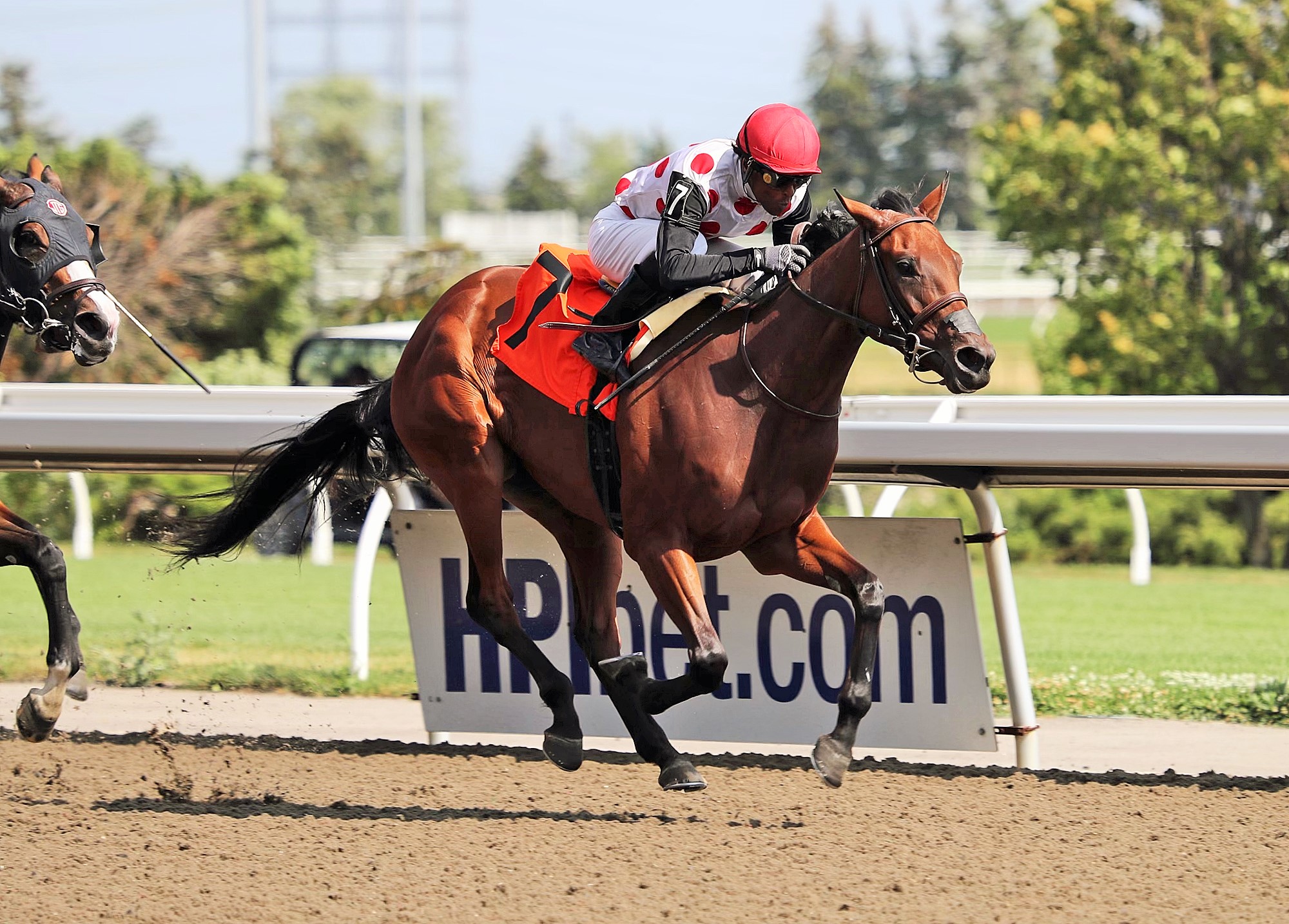 Souper Hoity Toity wins the Selene at Woodbine on July 2 2022
