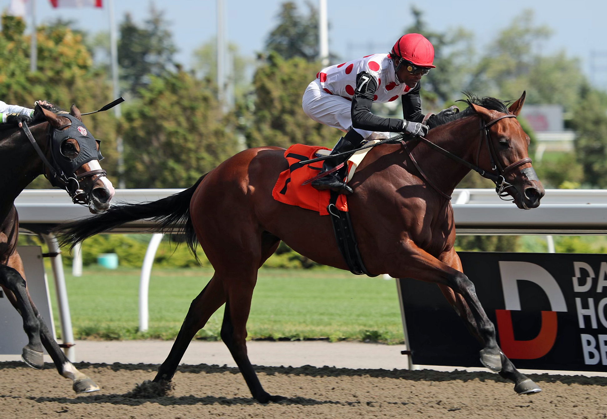 Super Hoity Toity wins Selene Stakes 7-2-2022