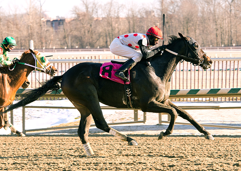 Souper Lucky wins an allowance race at Laurel