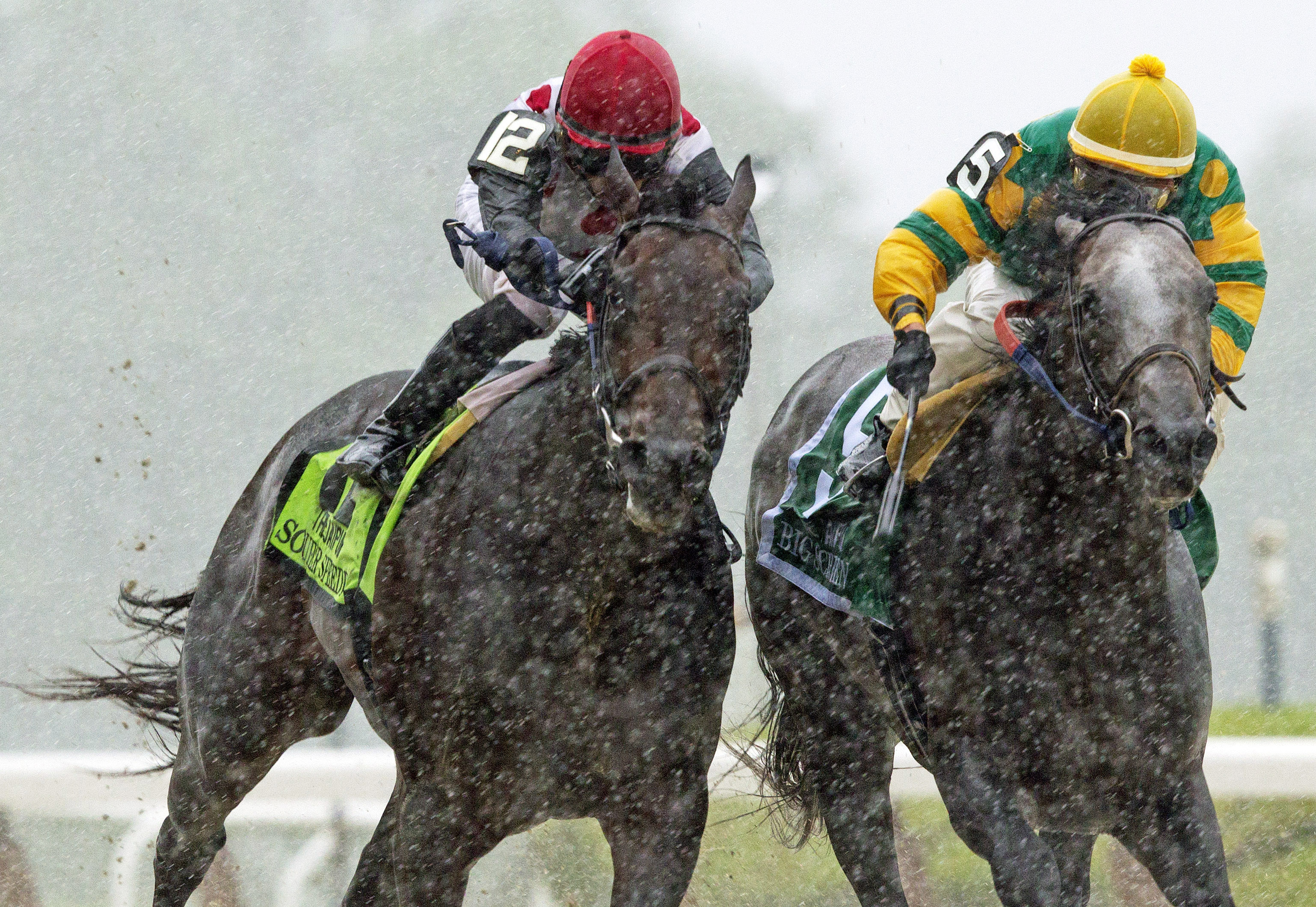 Souper Speedy, Big Screen, Jaipur Stakes