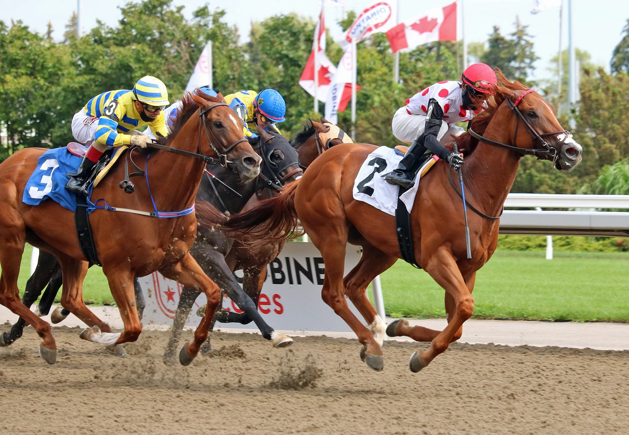 Souper Stonehenge (2) wins Vigil 8-1-2021