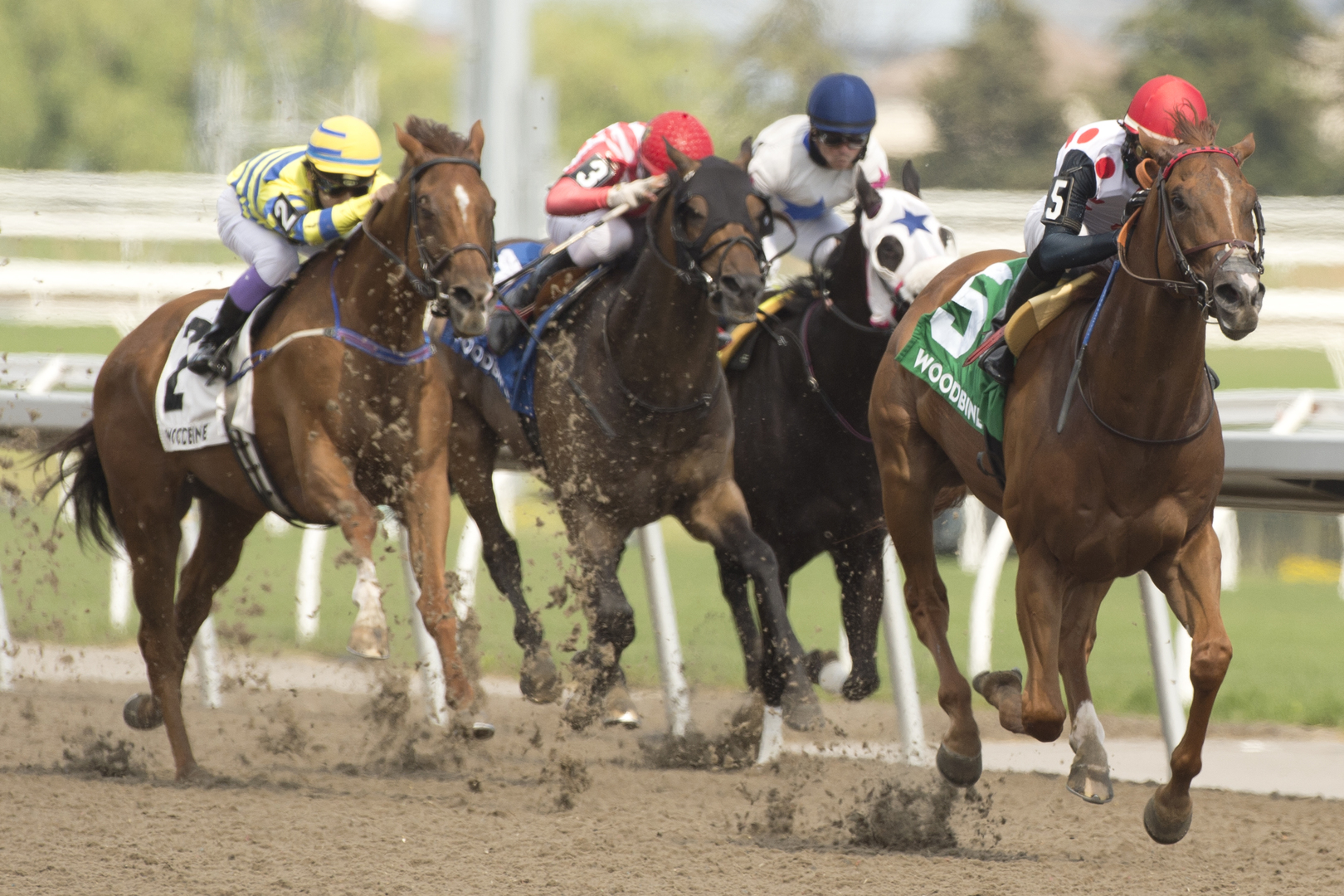 Souper Stonehenge beats Pink Lloyd (left) in the Jacques Cartier Stakes.6-20-2021