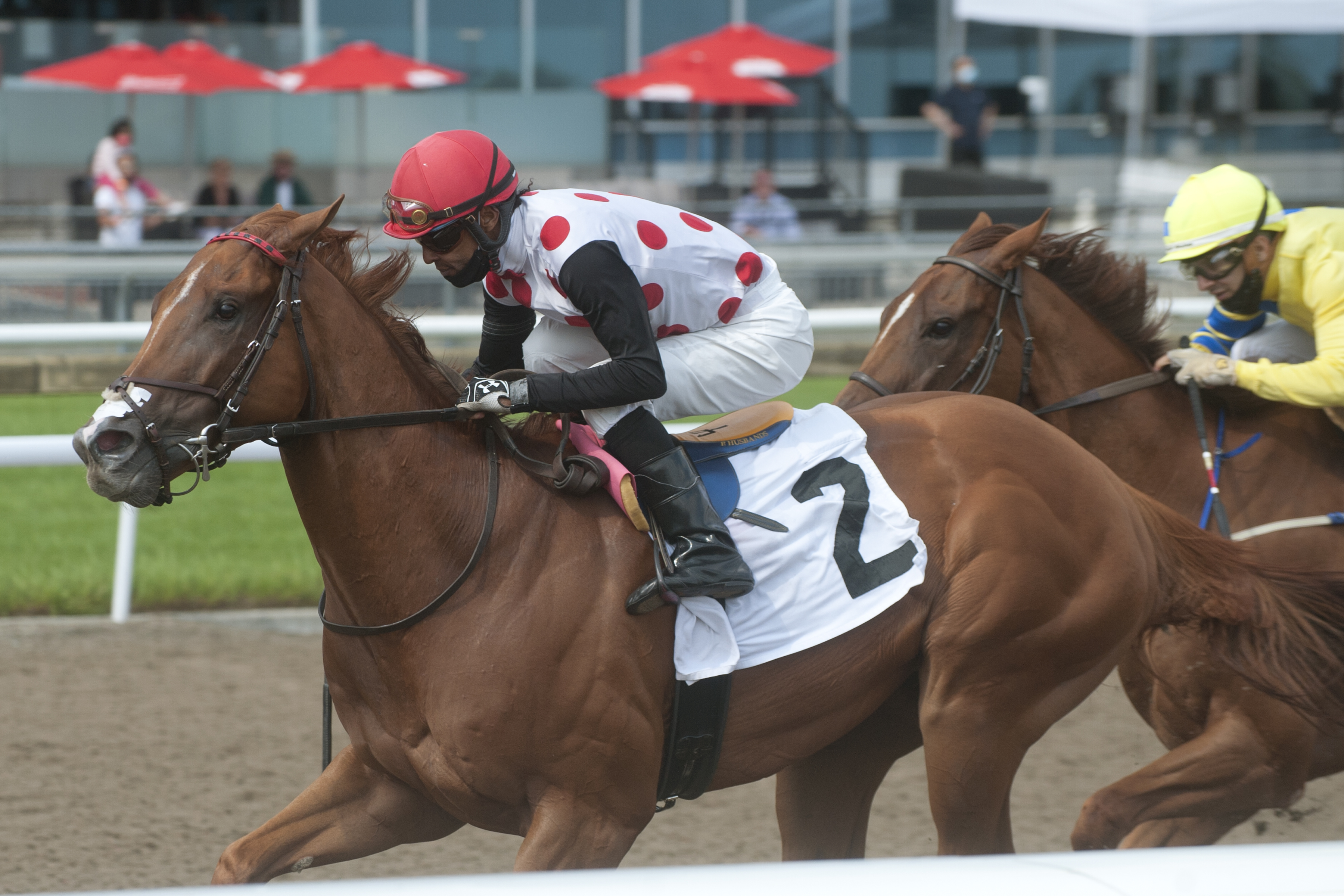 Souper Stonehenge wins the Grade 3 Vigil at Woodbine on Aug. 1 2021