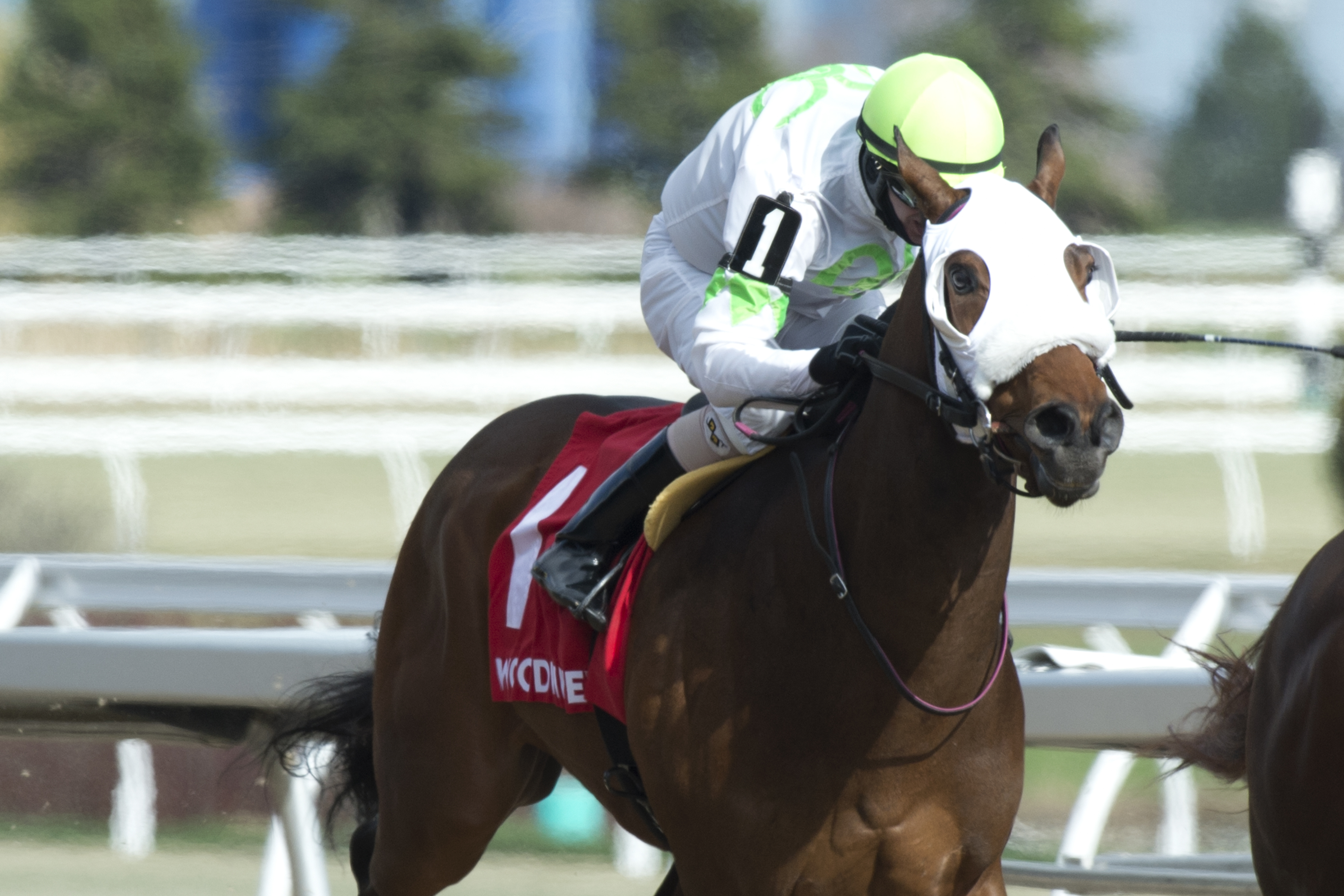 Souper Success.Woodstock Stakes.April 27 2019..MB.jpg