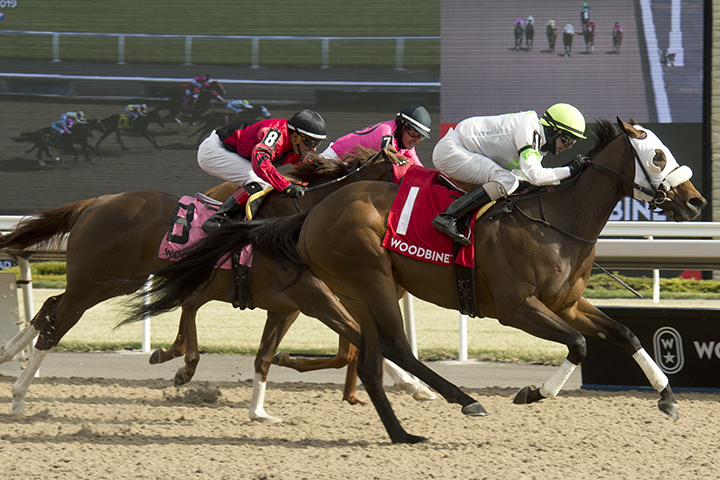 Souper Success wins the 2019 Woodstock Stakes