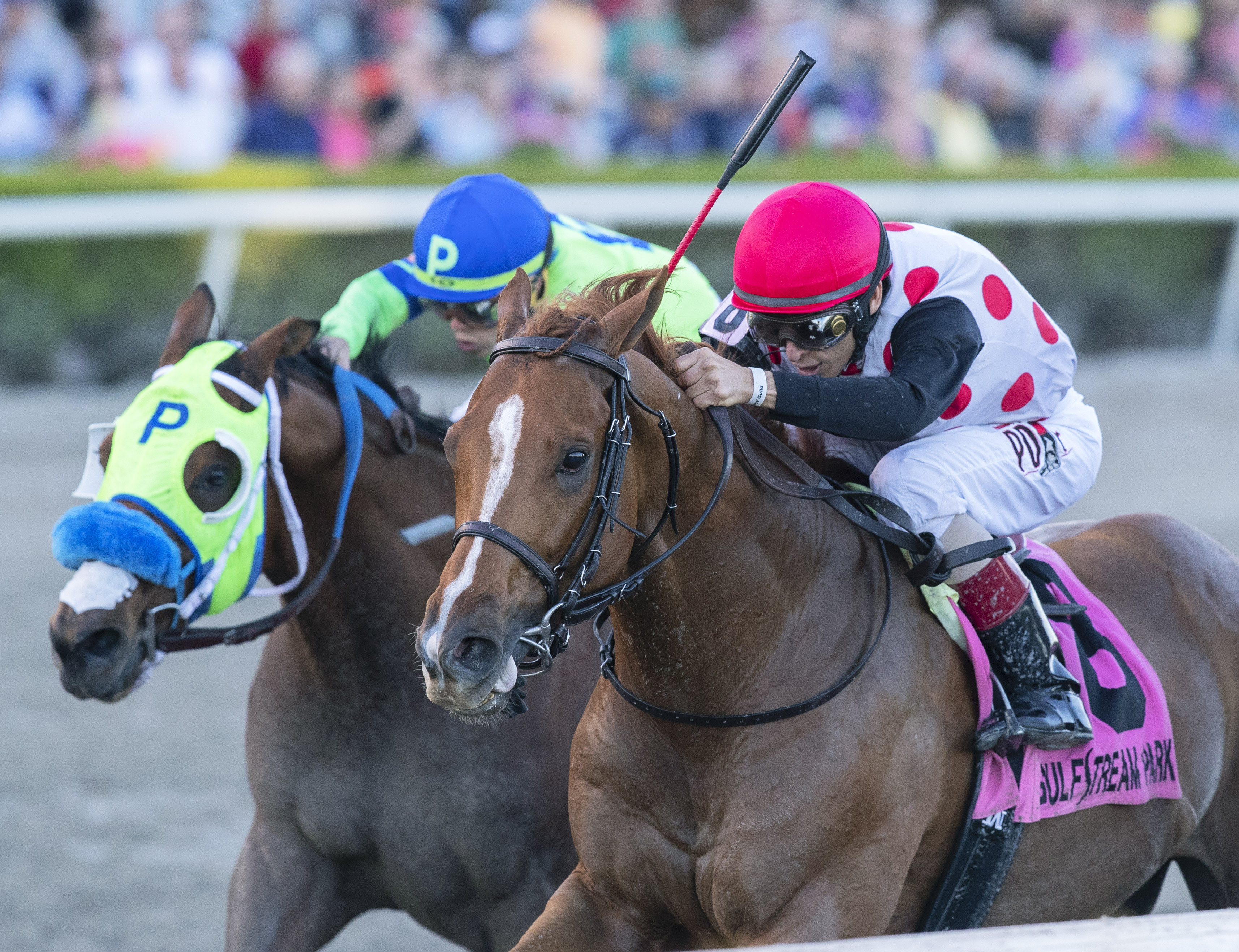 Souper Tapit wins 2019 Sunshine Millions Classic