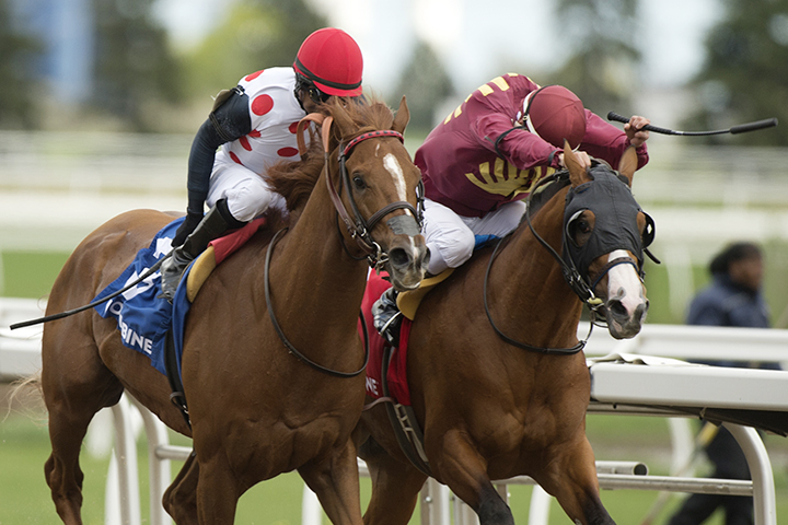 Souper Tapit wins the 2019 Eclipse Stakes