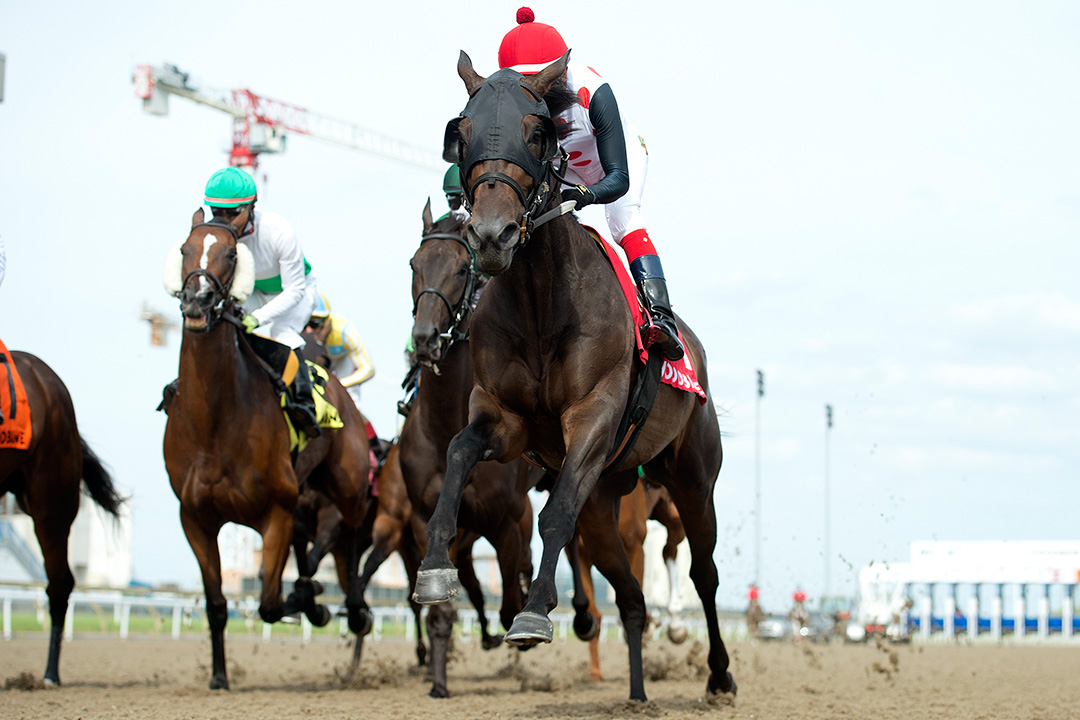 Souper Escape wins the 2020 Trillium Stakes at Woodbine