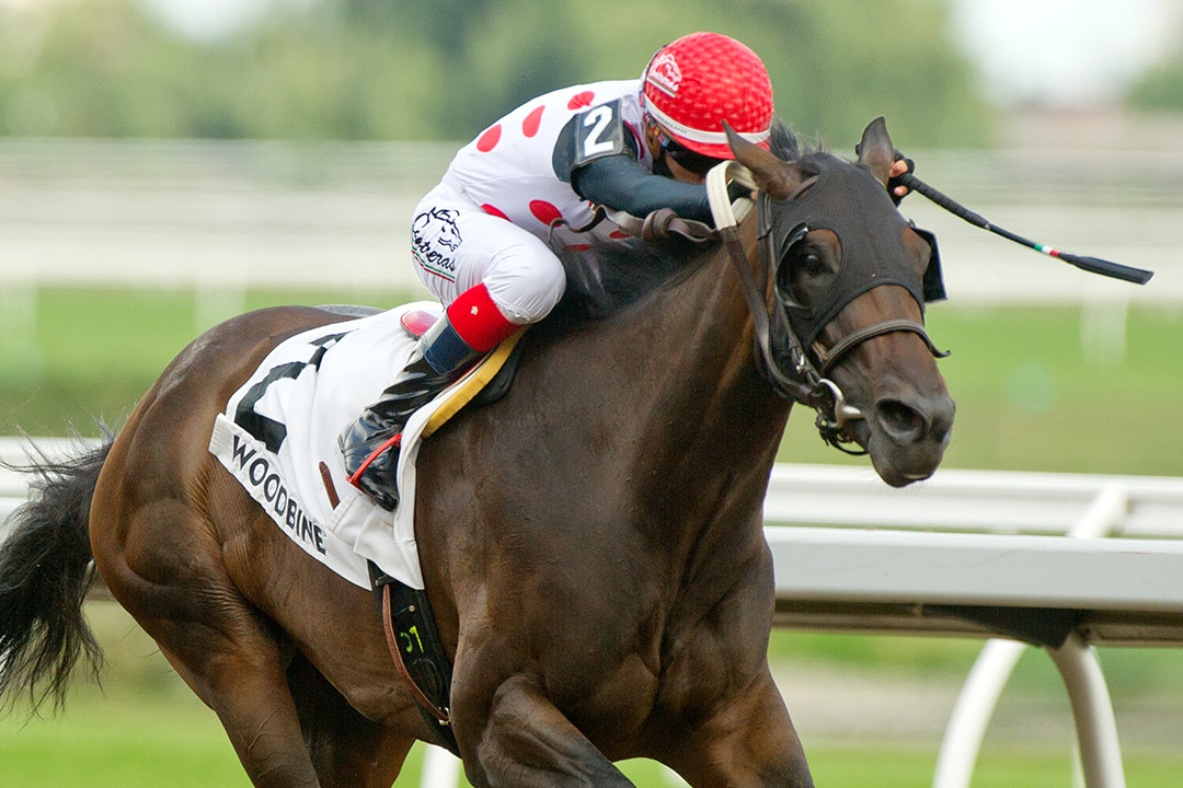 Souper Escape wins the 2020 Seaway Stakes at Woodbine