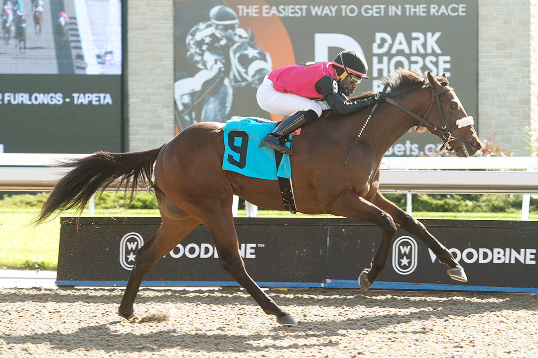 Souper Rush wins an Oct. 17 maiden optional claimer at Woodbine