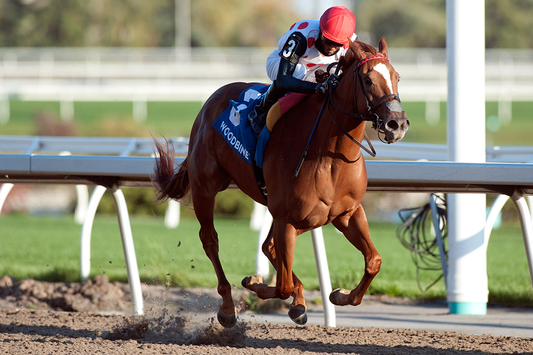 Souper Sensational wins the 2020 Glorious Song Stakes at Woodbine