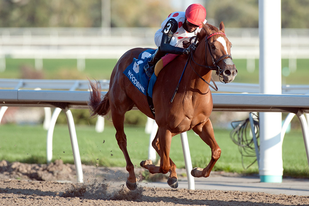 Souper Sensational wins the 2020 Glorious Song Stakes at Woodbine