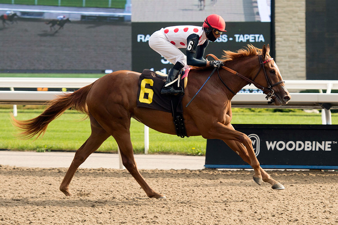 Souper Sensational wins a Sept. 26 maiden race at Woodbine