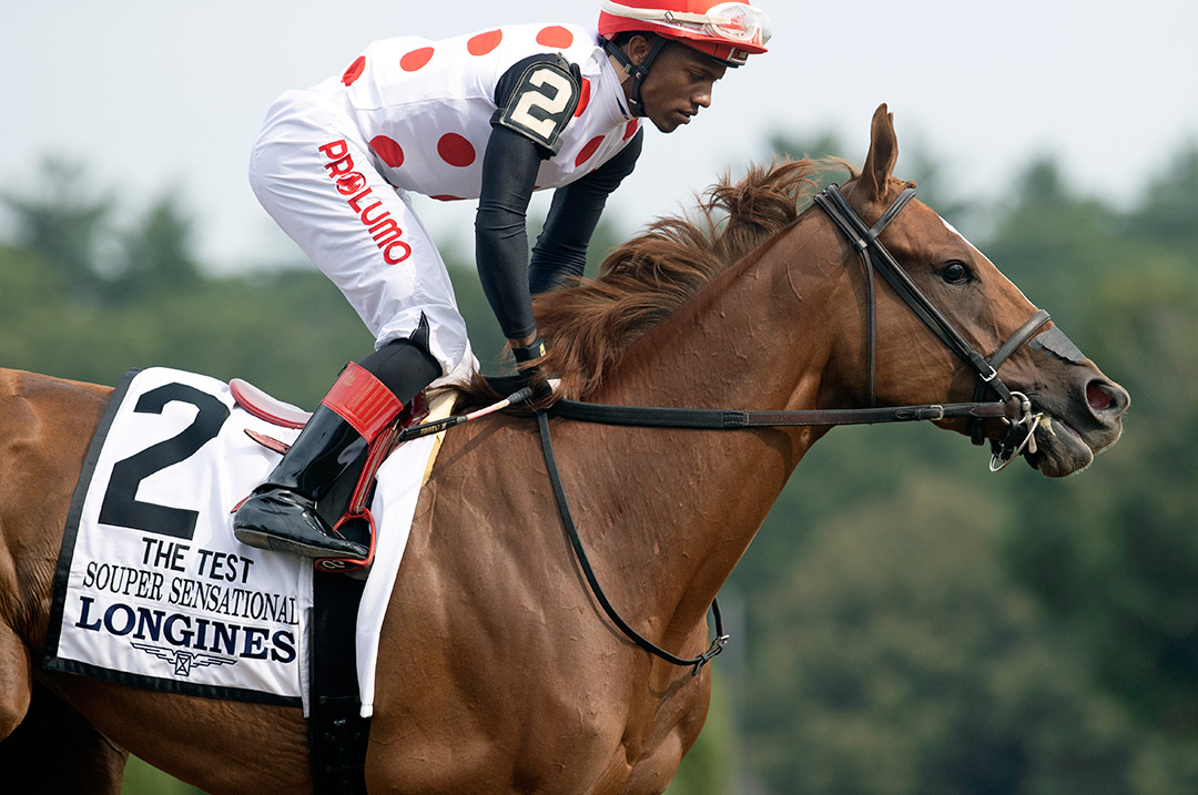 Souper Sensational at the Test Stakes at Saratoga