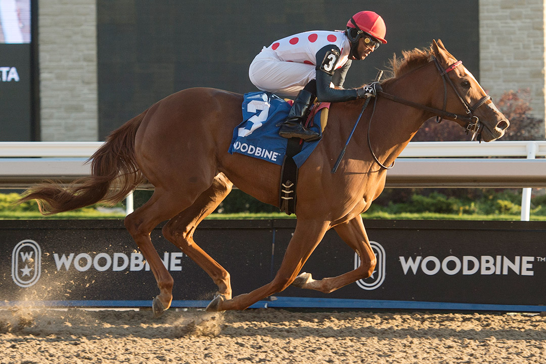 Souper Sensational wins the 2020 Glorious Song Stakes at Woodbine