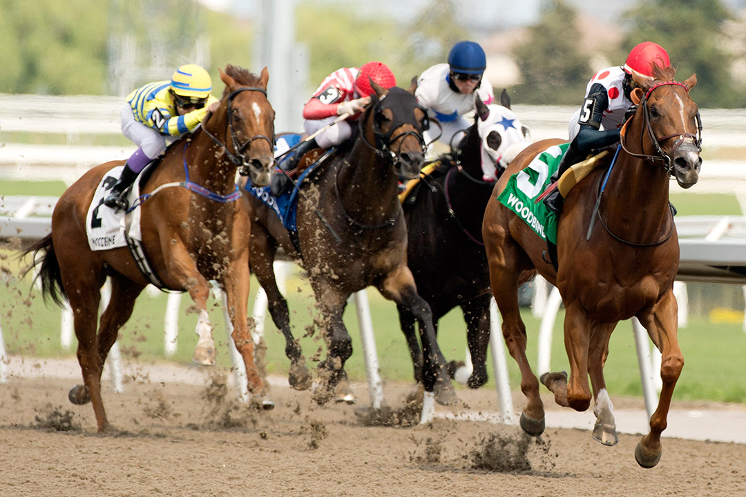 Souper Stonehenge wins the 2021 Jacques Cartier Stakes at Woodbine