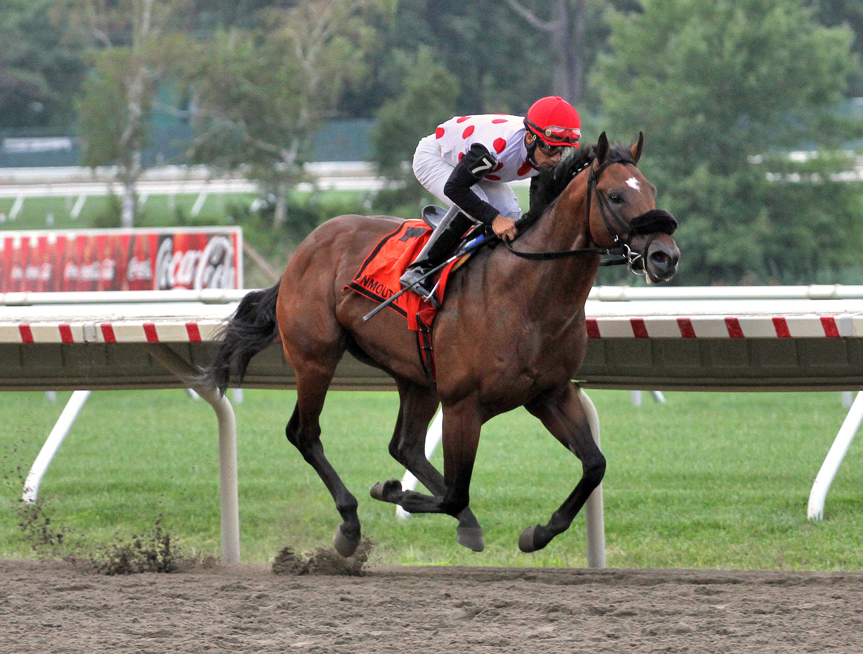 Souper Colossal wins 2014 Sapling