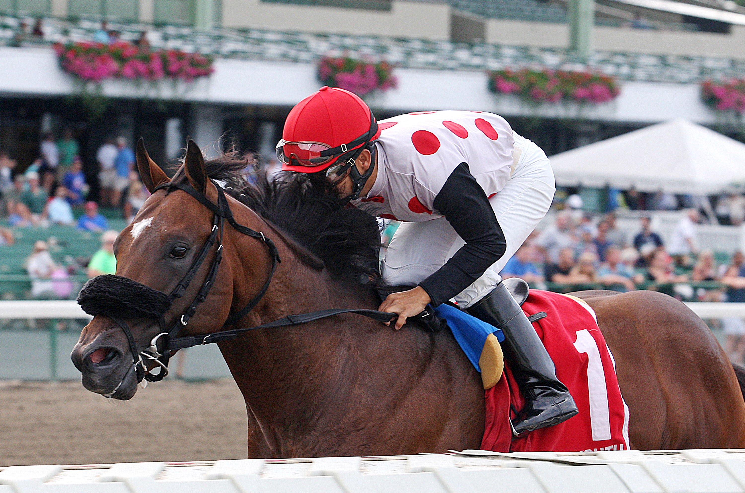 Souper Colossal wins 2014 Tyro