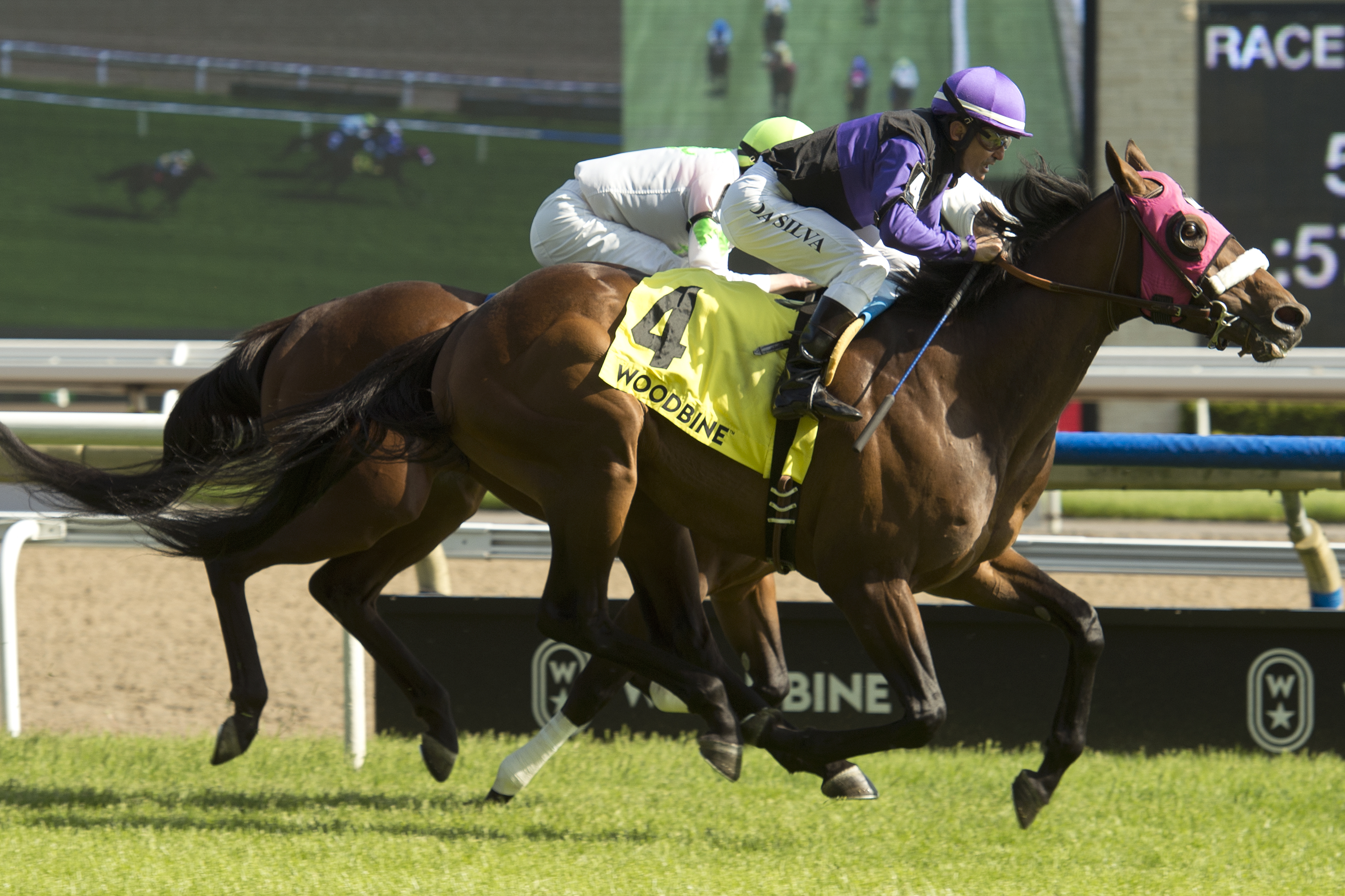 Souper Hot wins the 2019 Bold Ruckus Stakes