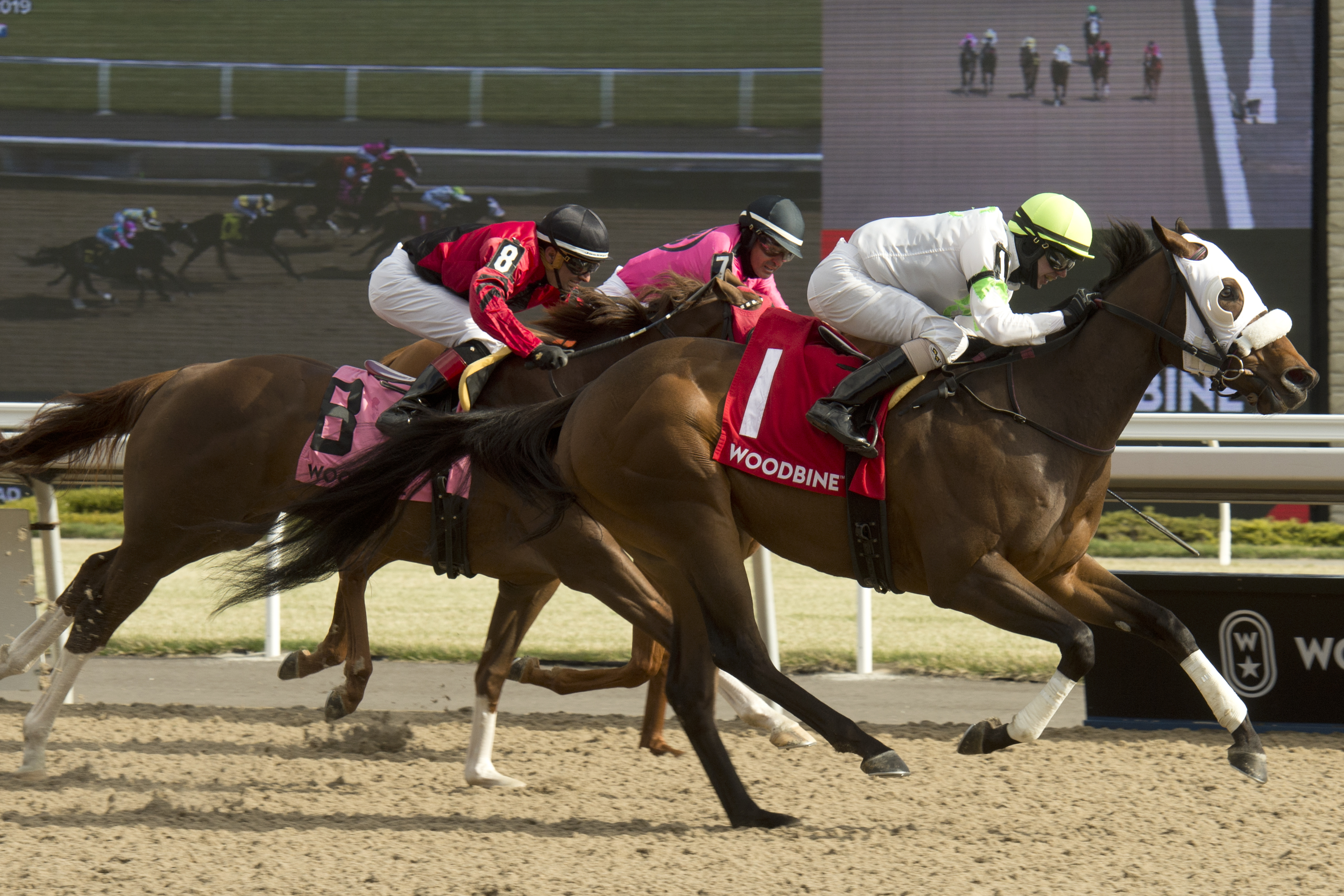 Souper Success wins the 2019 Woodstock Stakes