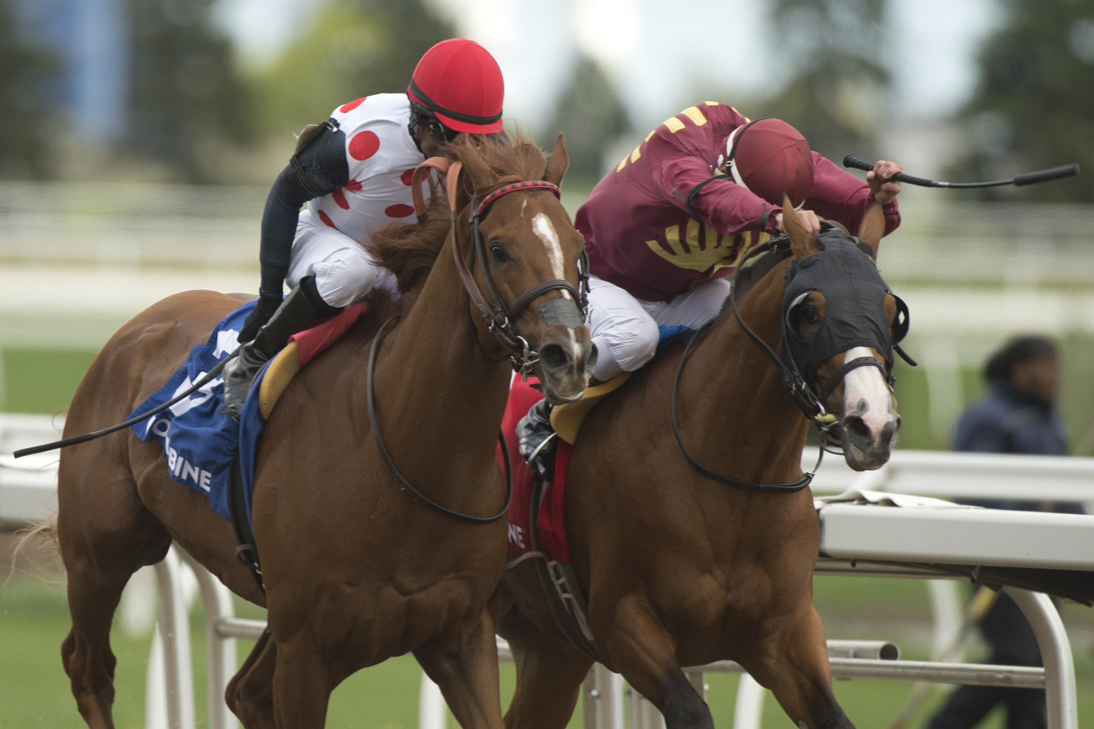 Souper Tapit (left) wins the 2019 Eclipse Stakes