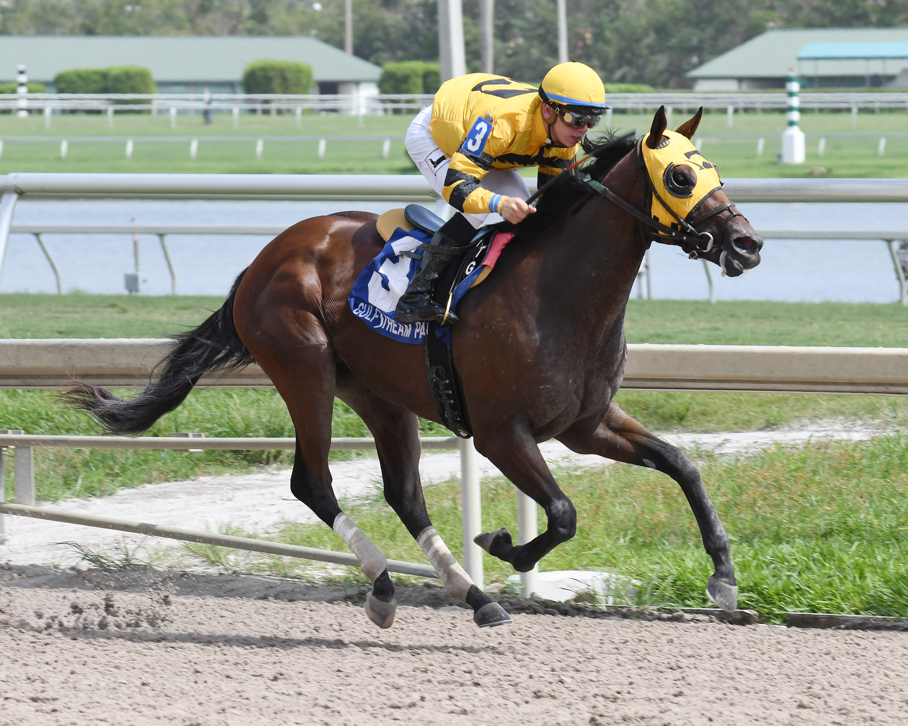 Soutache wins the 2017 In Reality Stakes